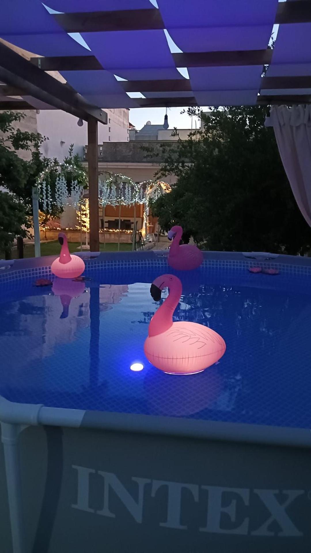 L’angolo Rosa Appartamento Carosino